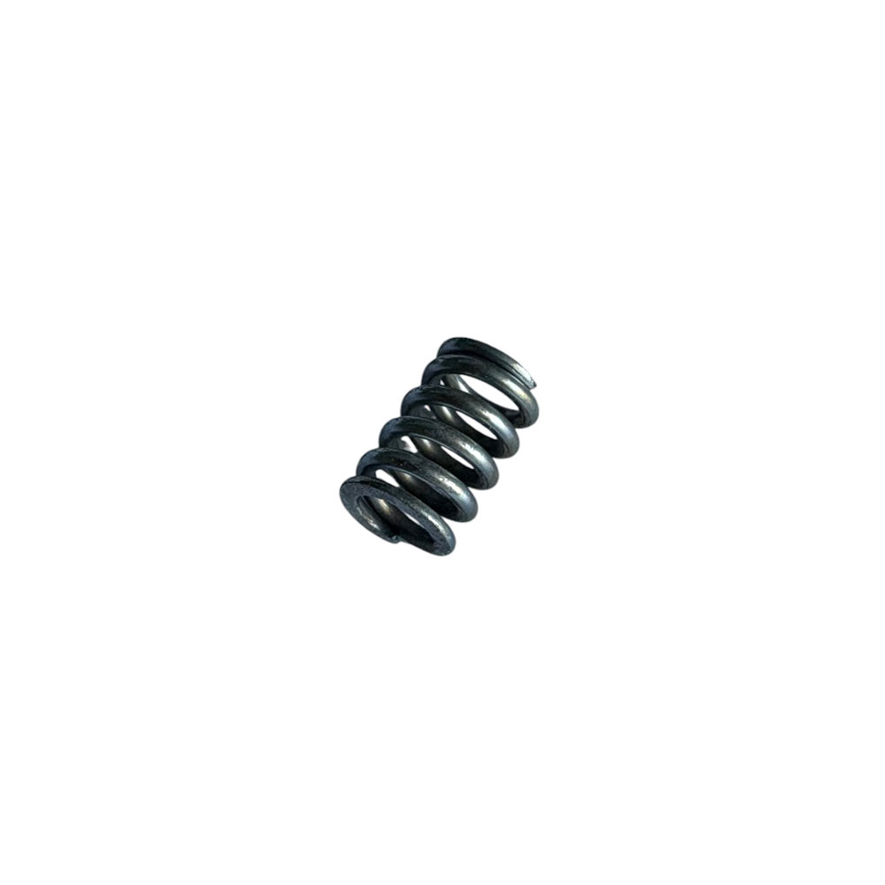 Door Hinge Spring 330955